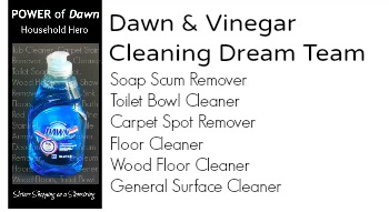 Cleaning Dream Team: Vinegar and Dawn