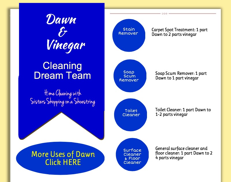 Cleaning Dream Team Vinegar And Dawn, Homemade Bathtub Cleaner With Dawn And Vinegar