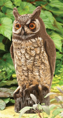 Dalen Gardeneer 16-Inch Molded Owl